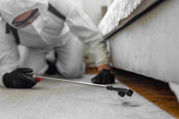 Professional Cockroach Control technician working in Iron River, MI