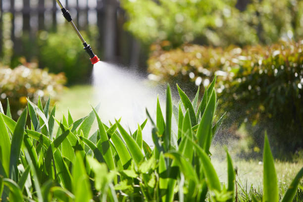 24/7 Emergency Cockroach Control experts in Iron River, MI